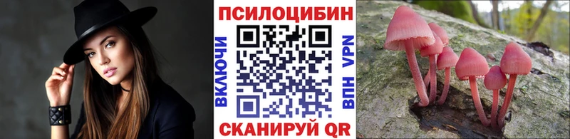 Галлюциногенные грибы Psilocybe  Ессентукская 