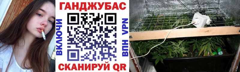 Марихуана сатива Ессентукская